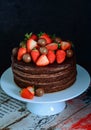 Hearty chocolate cake Royalty Free Stock Photo
