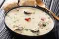 Hearty creamy fish soup with eel, vegetables and herbs close-up in a bowl. horizontal Royalty Free Stock Photo