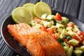 Hearty healthy food: salmon steak with lime, avocado and tomatoes close-up. horizontal Royalty Free Stock Photo