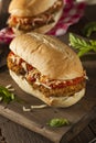 Hearty Homemade Chicken Parmesan Sandwich Royalty Free Stock Photo