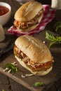 Hearty Homemade Chicken Parmesan Sandwich Royalty Free Stock Photo