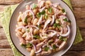Hearty homemade salad with tuna, onions and white beans close-up in a plate. horizontal top view Royalty Free Stock Photo