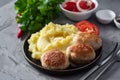 A hearty lunch for the family: mashed potatoes and a meat patty on a plate on a wooden table. Close-up