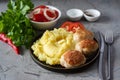 A hearty lunch: mashed potatoes, pork cutlets, tomato slices in a plate, tomato salad in a white bowl, fresh greens on a