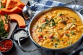 Hearty pumpkin carrot chicken breast soup Royalty Free Stock Photo