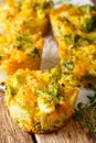 Hearty snack: broccoli bites with cheese macro. vertical