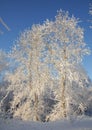 heat electric station in winter. Royalty Free Stock Photo