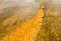 Runoff Channels in Yellowstone`s Midway Geyser Basin