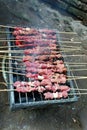 Grilled Arrosticini on Metal Grate: High Angle View of Barbecue Cuisine. Goat satay.