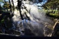 Heat rising from of a geothermal lake