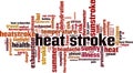 Heat stroke word cloud