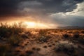 the heat of the sun beating down on a desert landscape, with storm clouds brewing in the distance Royalty Free Stock Photo