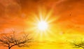 Heat wave of extreme sun and sky background. Hot weather with global warming concept. Temperature of Summer season