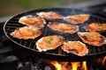 heated oysters on barbecue grill with capers