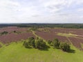 Heath land panoramic aerial view New Forest, UK Royalty Free Stock Photo