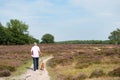 Heath in landscape