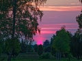 Heath landscape by pinkish purple glowing sky at dusk