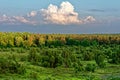 German heath landscape summer evening mood of Totengrund basin with white cloud in sky Royalty Free Stock Photo