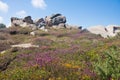 Heath near the Cote Granite Rose of France