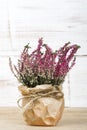 Heather bouquet on white wooden background