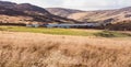 Heather covered hills around Loch Freuchie in Perthshire, Scotland Royalty Free Stock Photo