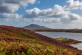 A Late Summer View over Loch Langass on the Island of North Uist, with Heather on the Surrounding Hills