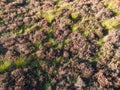 Heather Field from Above in The Loonse and Drunense Duinen National Park Royalty Free Stock Photo