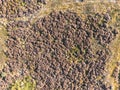 Heather Field from Above in The Loonse and Drunense Duinen National Park Royalty Free Stock Photo