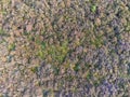 Heather Field from Above in The Loonse and Drunense Duinen National Park Royalty Free Stock Photo