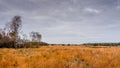 Heather Fields in Autumn