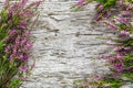 Heather flowers on the old wood background Royalty Free Stock Photo