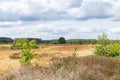 Nature landscape Drenthe Teh Netherlands Royalty Free Stock Photo