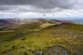 Heather on the Northern Fells Royalty Free Stock Photo