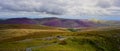 Heather on the Northern Fells Royalty Free Stock Photo