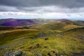 Heather on the Northern Fells Royalty Free Stock Photo