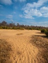 Heather and Sand in Planken Wambuis Royalty Free Stock Photo