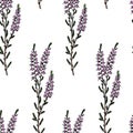 Heather seamless pattern