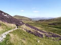 Through heather towards Sheffield Pke, Lake District