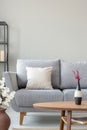 Heather in vase on the wooden table next to comfortable grey couch in monochromatic living room, real photo with copy space Royalty Free Stock Photo