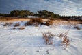 Heatherland in snow