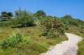 Heathland at Arne in Dorset