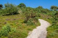 Heathland at Arne in Dorset