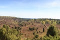 Heathland panorama view to basin Totengrund in Luneburg Heath near Wilsede, Germany Royalty Free Stock Photo