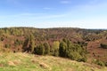 Heathland panorama view to basin Totengrund in Luneburg Heath near Wilsede, Germany Royalty Free Stock Photo