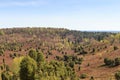 Heathland panorama view to basin Totengrund in Luneburg Heath near Wilsede, Germany