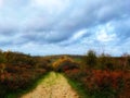 Heathland Path in the Colours of Autumn Royalty Free Stock Photo