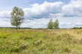 Nature landscape Drenthe Teh Netherlands Royalty Free Stock Photo