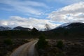 Heathland track on the Cairngorms national park.