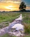 Heathland Trail Sunset Royalty Free Stock Photo