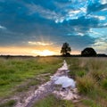 Heathland Trail Sunset Royalty Free Stock Photo